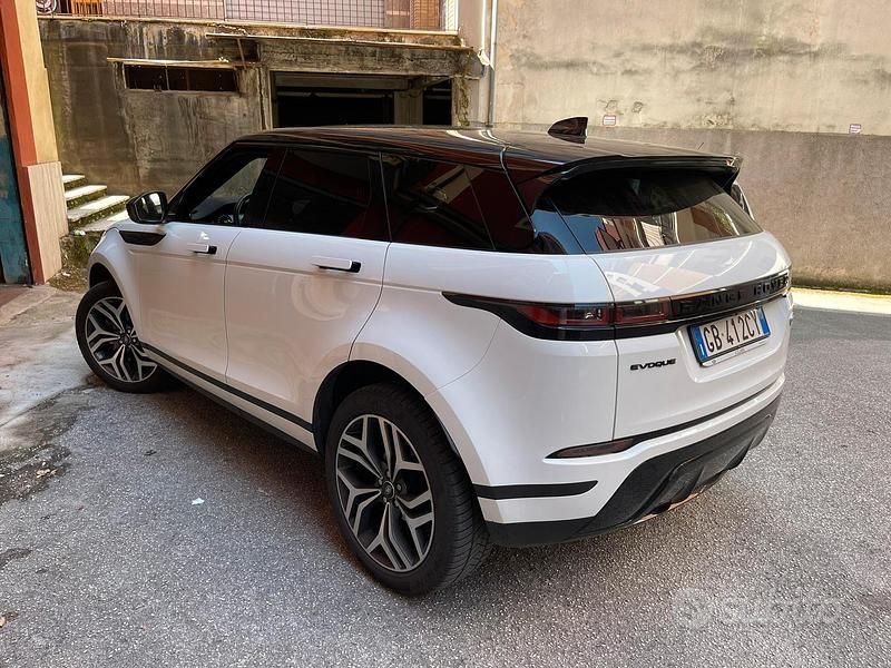 Usata Land Rover Range Rover evoque SE 2020 Bianco SUV