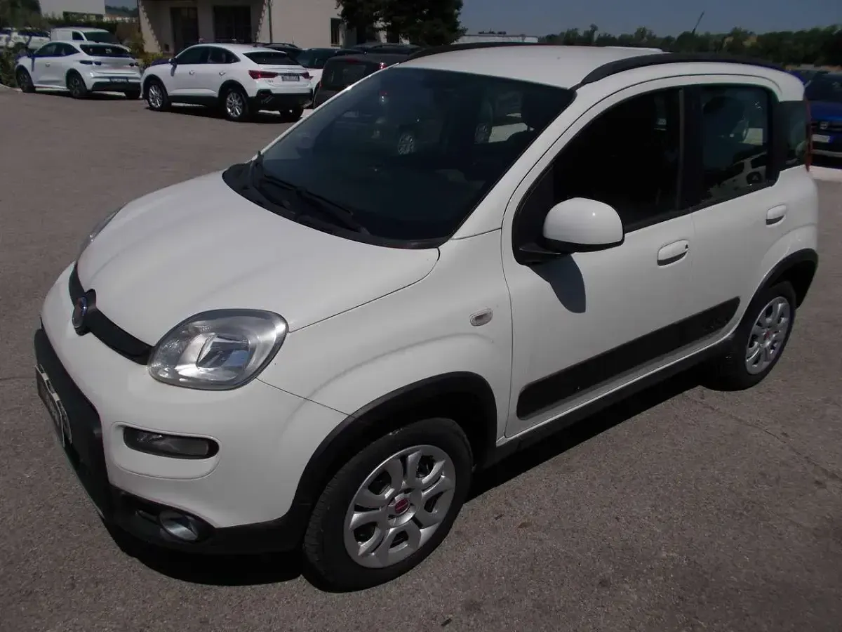Usata Fiat Panda 4x4 S 95 CV (69 kW) 2017 Bianco Utilitaria