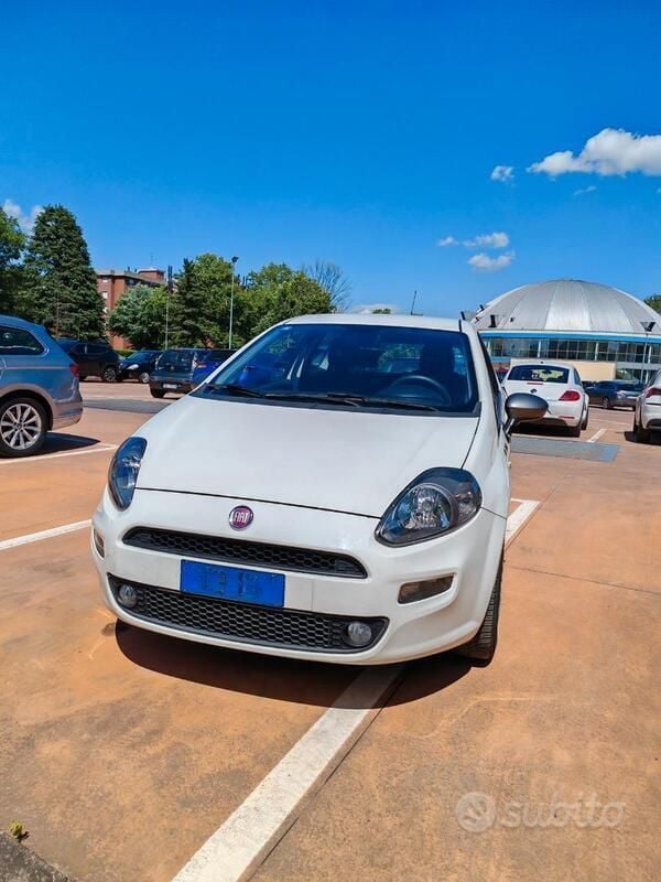 Bianco Usata 2014 Fiat Punto Young Utilitaria | 3200 € (Super prezzo) - Immagine 1/4