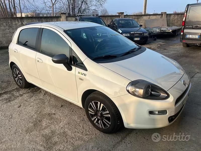 Usata Fiat Punto Lounge 69 CV (50 kW) 2014 Bianco Utilitaria