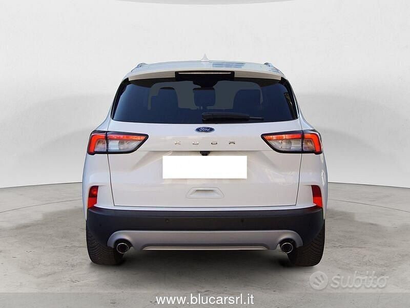 Usata Ford Kuga Titanium X 120 CV (88 kW) 2023 Bianco SUV