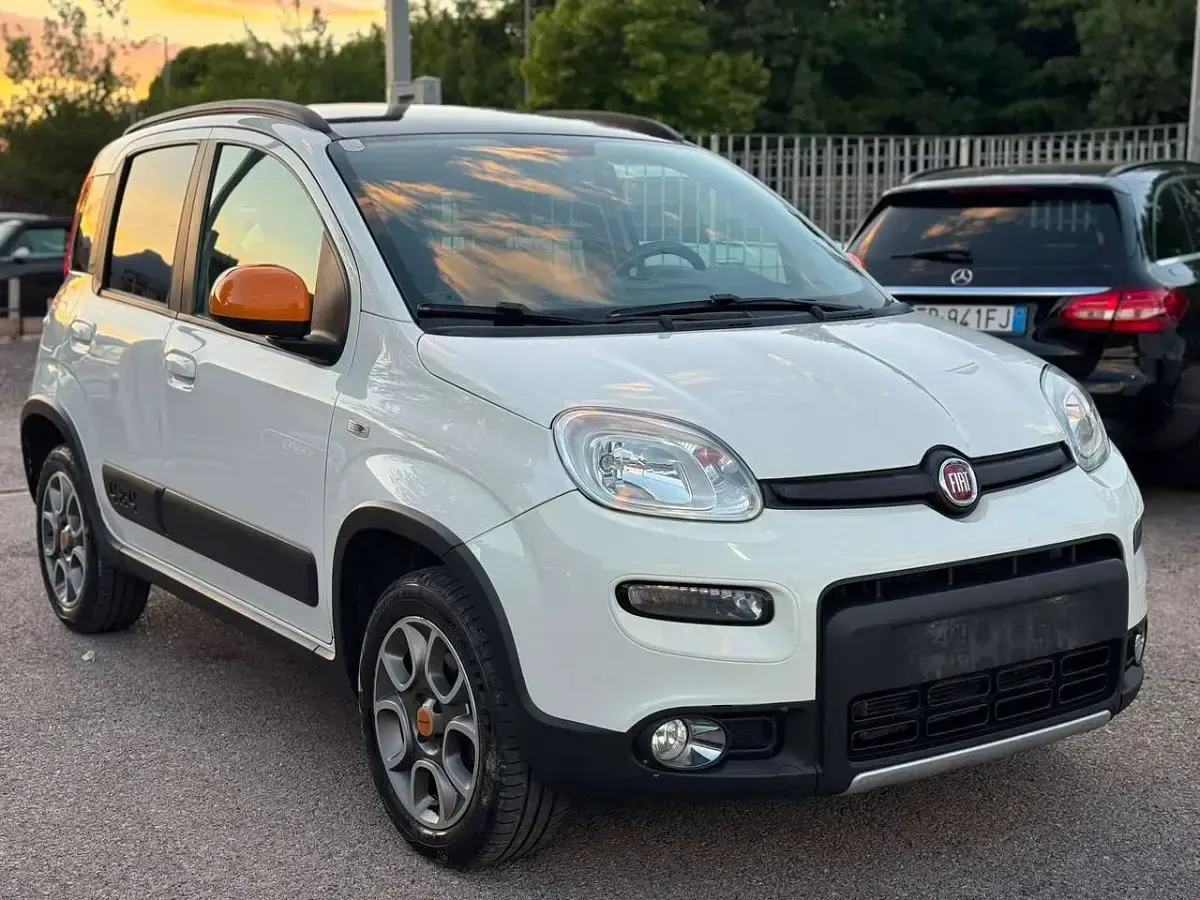 Usata Fiat Panda 4x4 Anniversary 86 CV (63 kW) 2014 Bianco Utilitaria