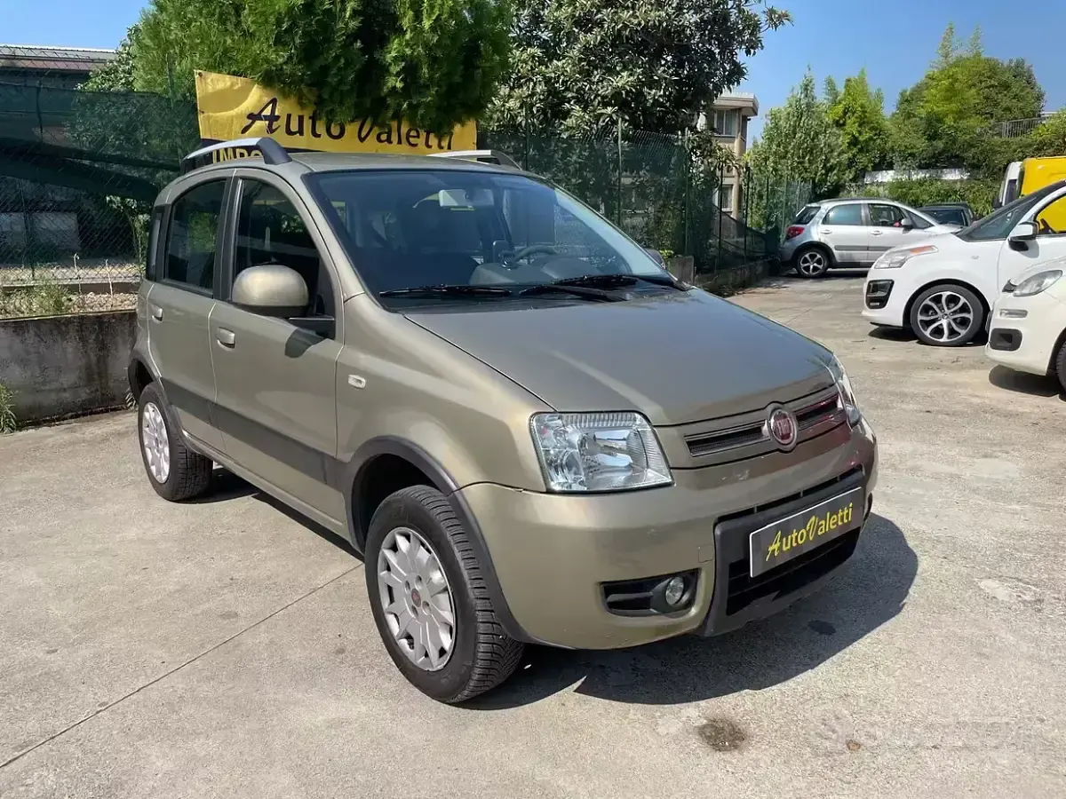 Usata Fiat Panda 4x4 Climbing 69 CV (50 kW) 2012 Marrone Utilitaria