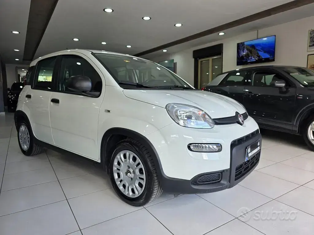 Usata Fiat Panda S 69 CV (50 kW) 2024 Bianco Utilitaria