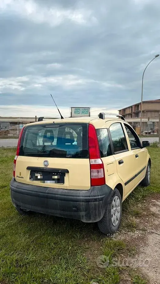 Usata Fiat Panda Active 60 CV (44 kW) 2009 Giallo Utilitaria