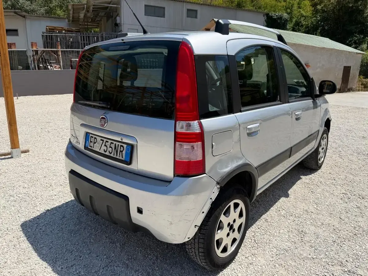 Usata Fiat Panda 4x4 Climbing 75 CV (55 kW) 2012 Grigio Utilitaria