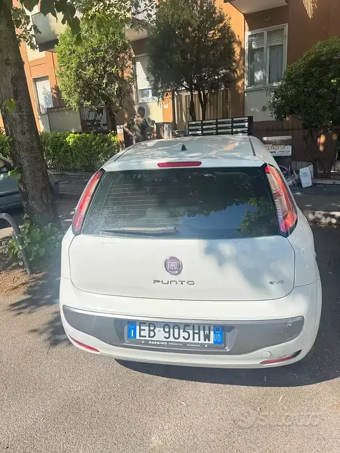 Usata Fiat Punto Evo Dynamic 95 CV (69 kW) 2013 Bianco Utilitaria