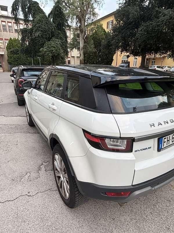 Usata Land Rover Range Rover evoque SE 150 CV (110 kW) 2017 SUV
