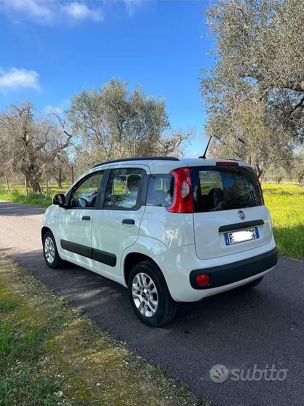 Usata Fiat Panda 2019 Bianco Utilitaria