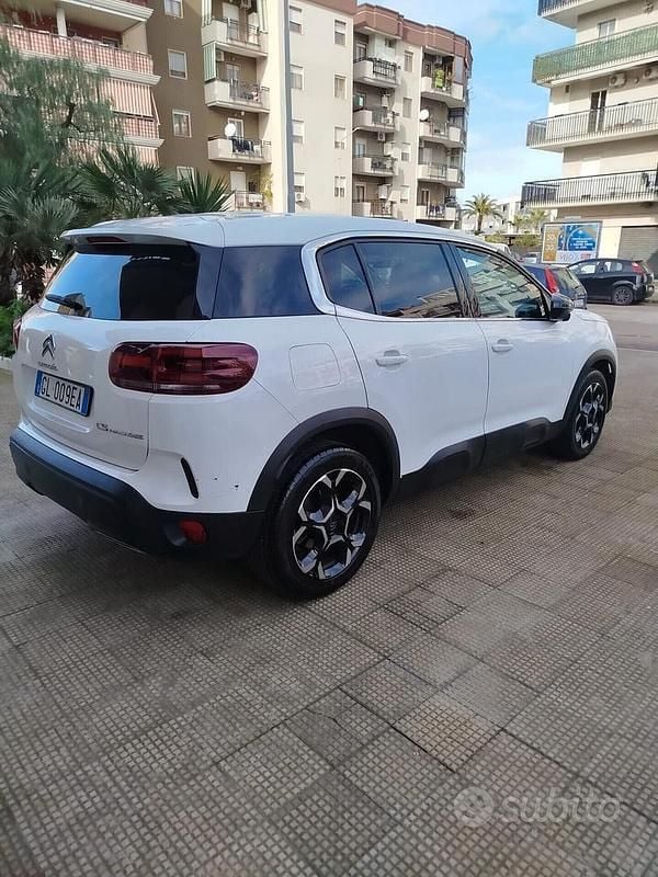 Usata Citroën C5 Shine 131 CV (96 kW) 2023 Bianco Station wagon