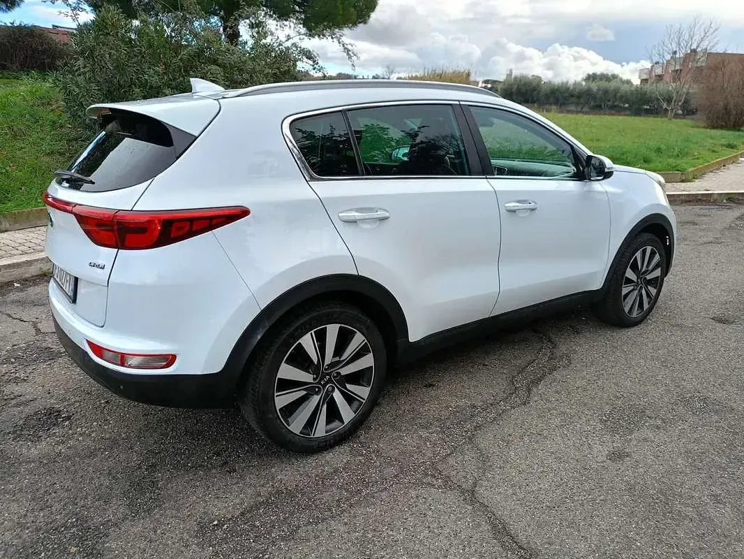 Usata Kia Sportage 116 CV (85 kW) 2017 Bianco SUV