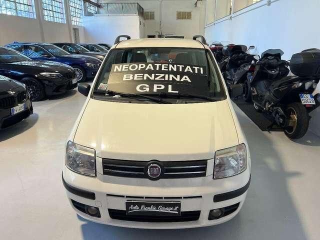 Usata Fiat Panda Dynamic 60 CV (44 kW) 2009 Bianco Utilitaria