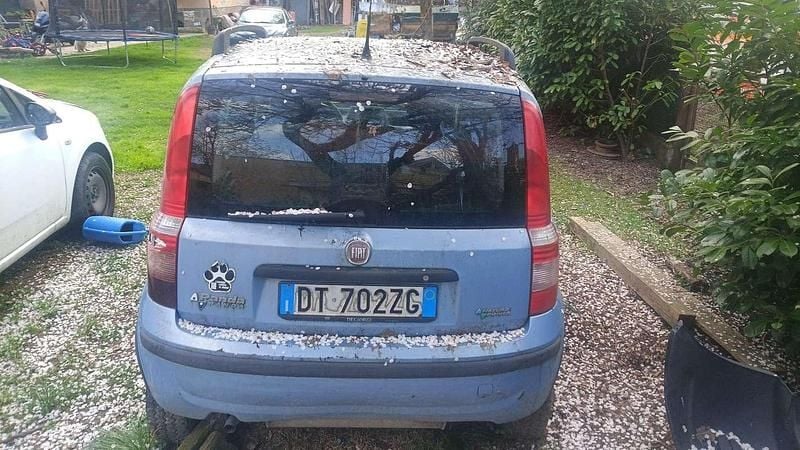 Usata Fiat Panda Active 54 CV (39 kW) 2009 Utilitaria
