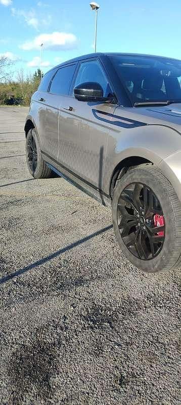 Usata Land Rover Range Rover evoque SE Dynamic 163 CV (119 kW) 2021 SUV