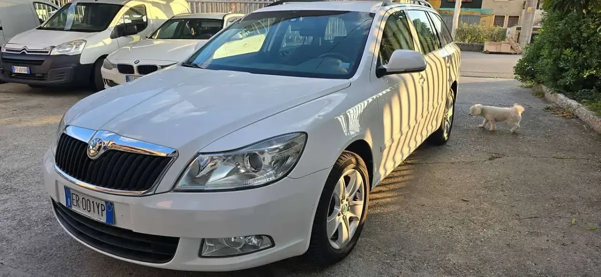Usata Skoda Octavia Elegance 105 CV (77 kW) 2013 Bianco Station wagon