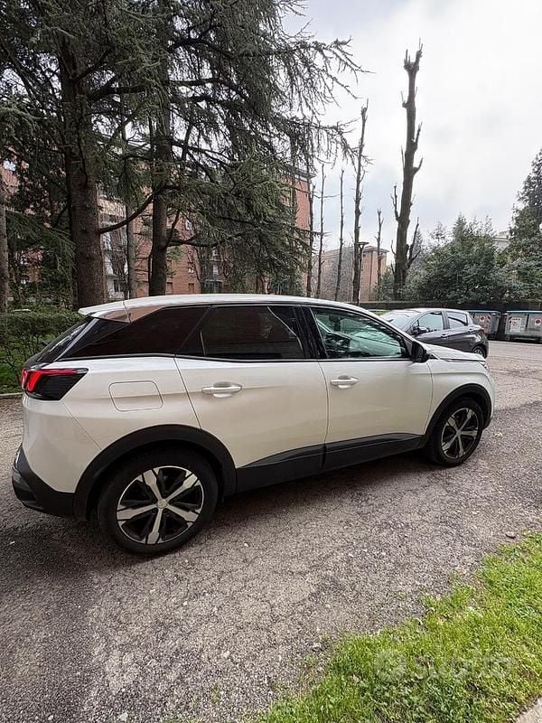 Usata Peugeot 3008 Business-Line 131 CV (96 kW) 2019 Bianco SUV