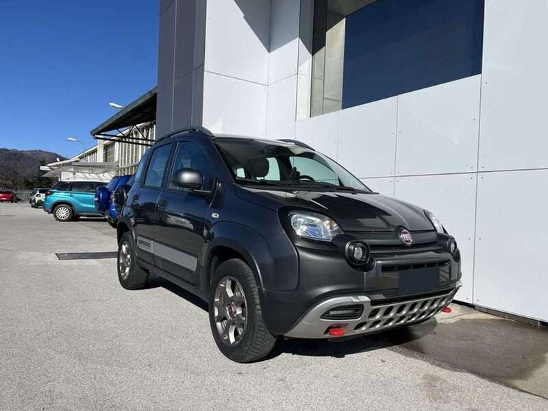 Usato 2018 Fiat Panda 4x4 1.2 Diesel 95 CV (13.900 €)