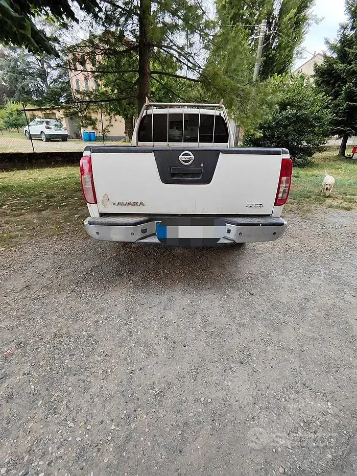 Usata Nissan Navara 190 CV (139 kW) 2014 Bianco Pick-up