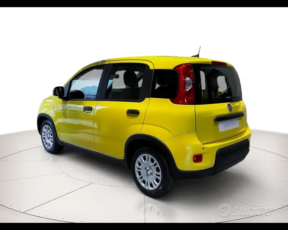 Usata Fiat Panda 70 CV (51 kW) 2024 Giallo Utilitaria