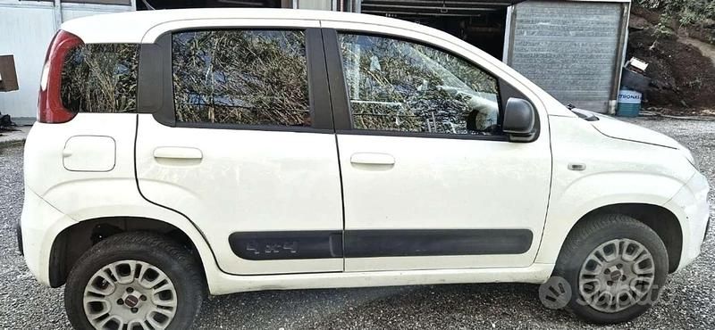 Usata Fiat Panda Trekking 75 CV (55 kW) 2015 Utilitaria