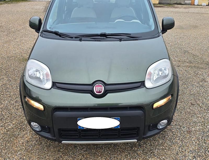 Usata Fiat Panda 4x4 Climbing 75 CV (55 kW) 2013 Verde Utilitaria