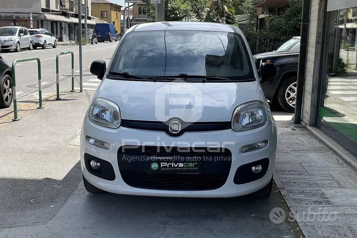 Usata Fiat Panda Easy 69 CV (50 kW) 2019 Bianco Utilitaria