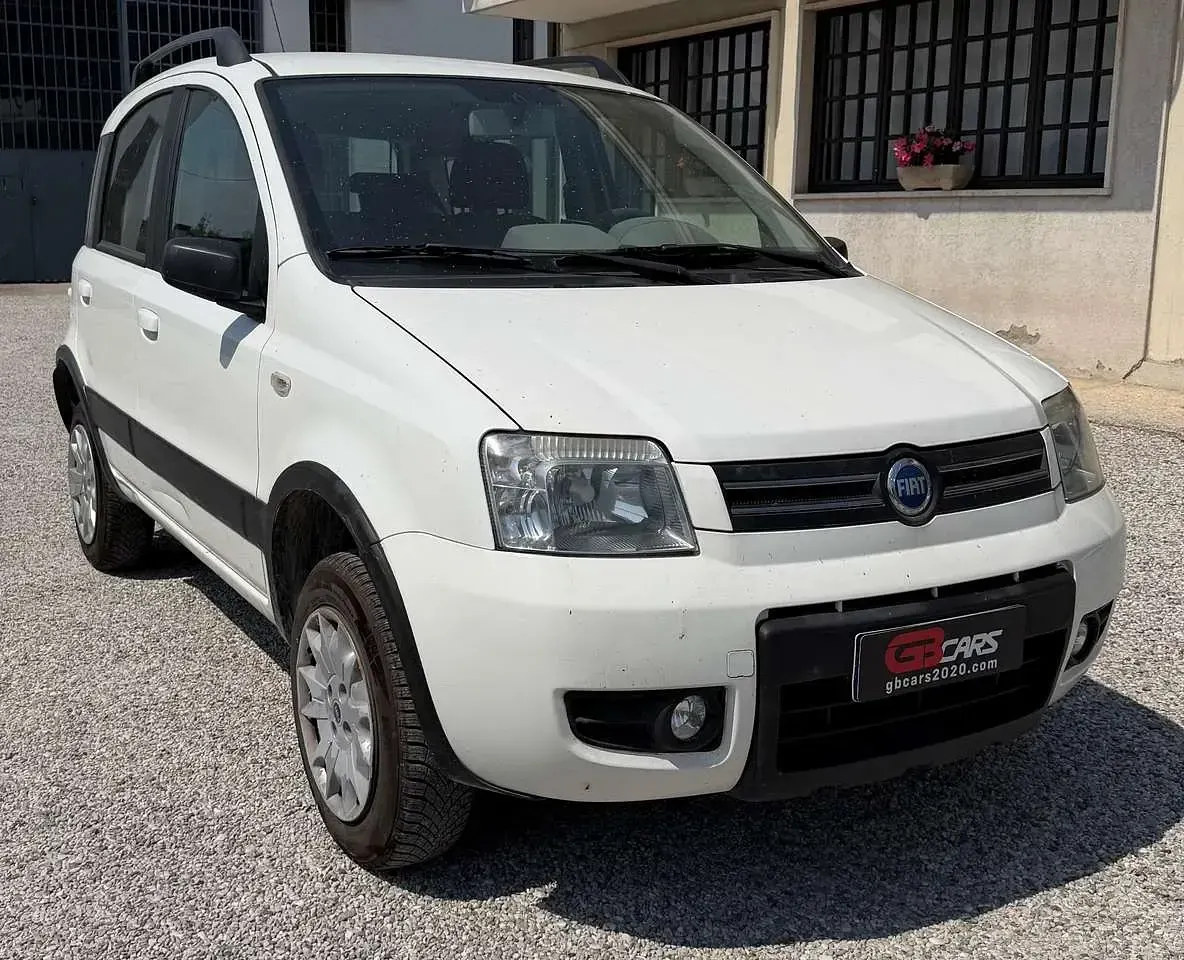 Usata Fiat Panda 4x4 Climbing 60 CV (44 kW) 2006 Bianco Utilitaria