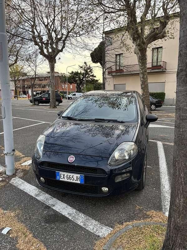Usata Fiat Punto Evo S 75 CV (55 kW) 2014 Utilitaria