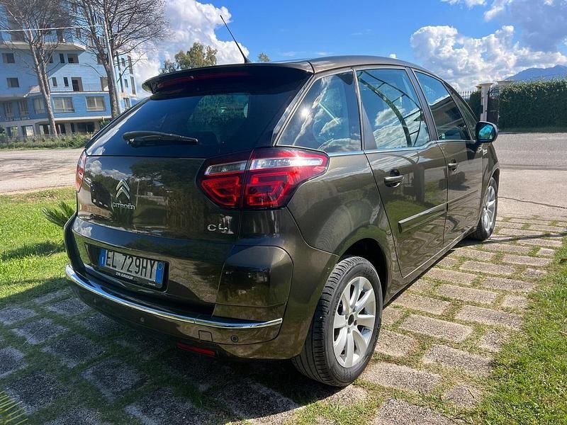 Usata Citroën C4 Picasso Exclusive 112 CV (82 kW) 2012 Marrone Monovolume
