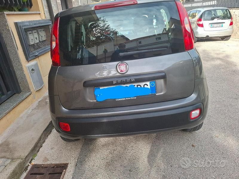 Usata Fiat Panda 69 CV (50 kW) 2020 Grigio Berlina