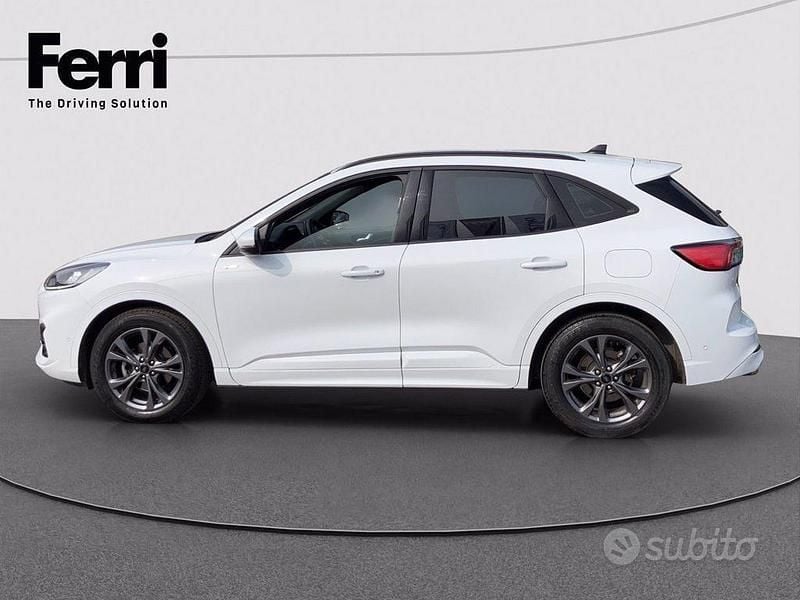 Usata Ford Kuga ST-Line 120 CV (88 kW) 2023 Bianco SUV
