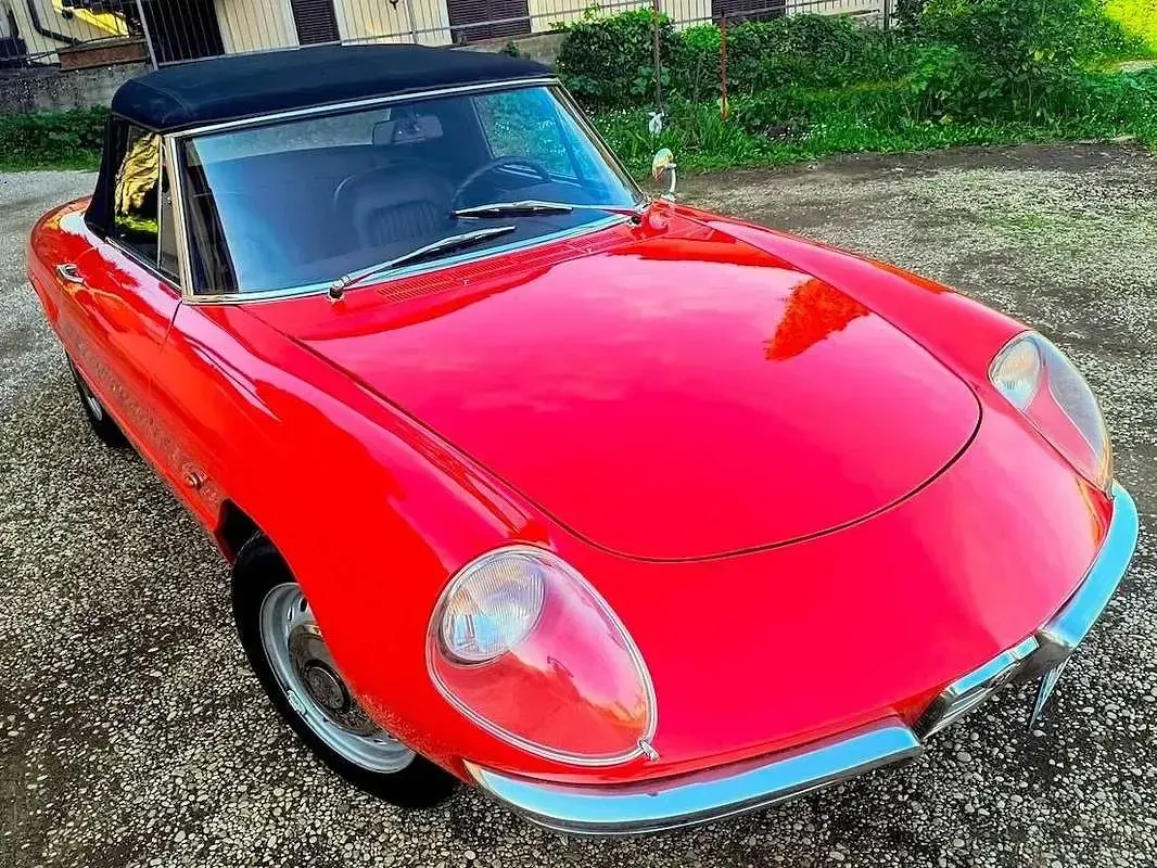 Usata Alfa Romeo Spider Veloce 131 CV (96 kW) 1966 Bianco Cabrio