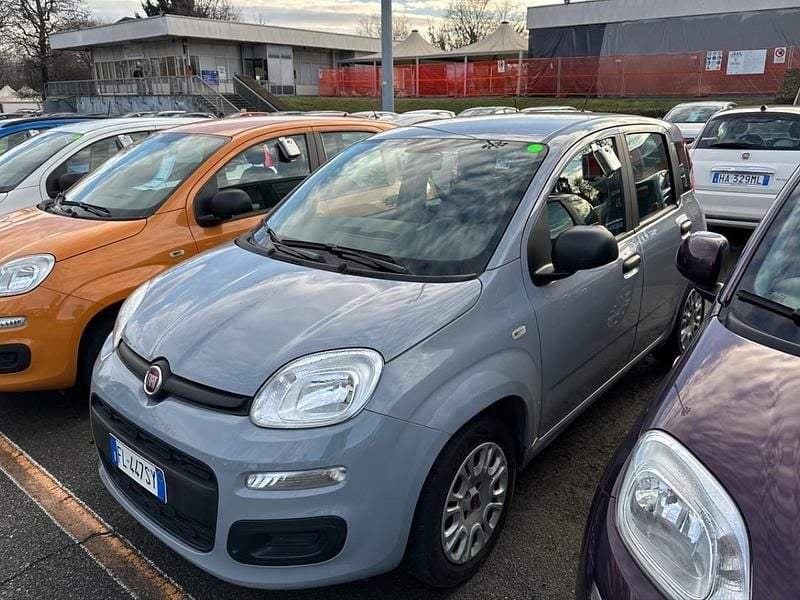 Usata Fiat Panda Easy 69 CV (50 kW) 2017 Grigio Utilitaria