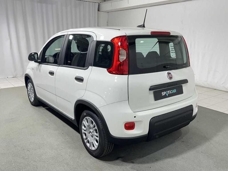 Usata Fiat Panda S 69 CV (50 kW) 2024 Bianco Utilitaria