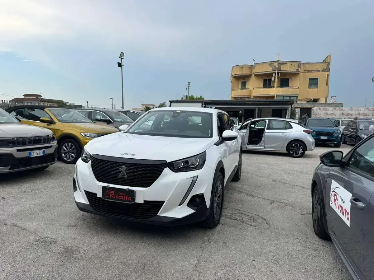 Usata Peugeot 2008 Active 110 CV (80 kW) 2021 Bianco SUV