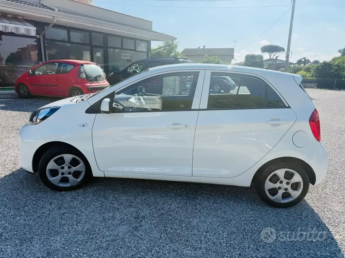 Usata Kia Picanto City 66 CV (48 kW) 2015 Bianco Utilitaria