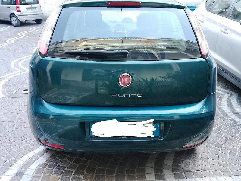 Usata Fiat Punto Evo 75 CV (55 kW) 2012 Verde Utilitaria