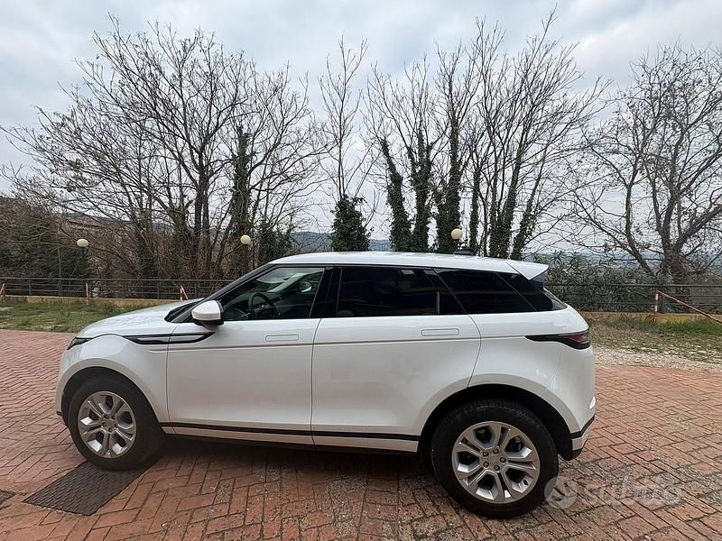 Usata Land Rover Range Rover evoque R-Dynamic 163 CV (119 kW) 2022 Bianco SUV