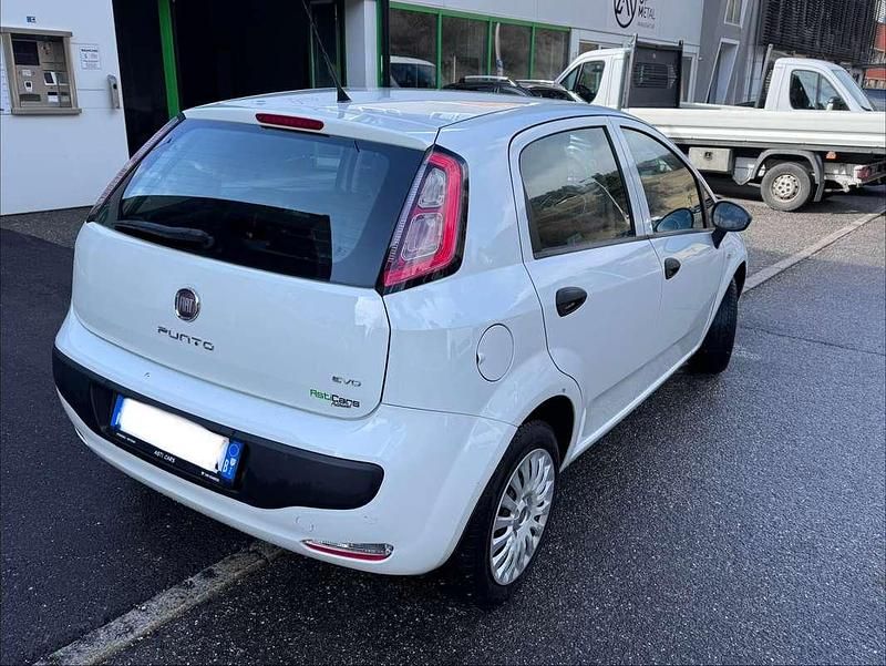 Usata Fiat Punto Evo Active 77 CV (56 kW) 2012 Bianco Utilitaria