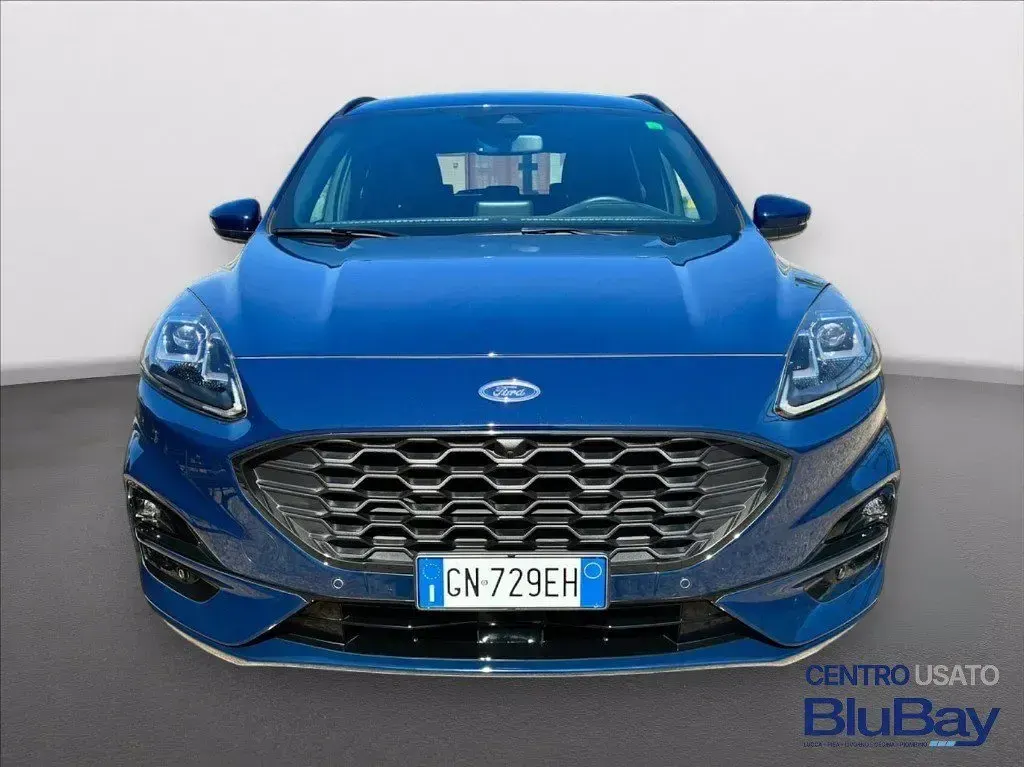 Usata Ford Kuga ST-Line X 225 CV (165 kW) 2023 Blu SUV
