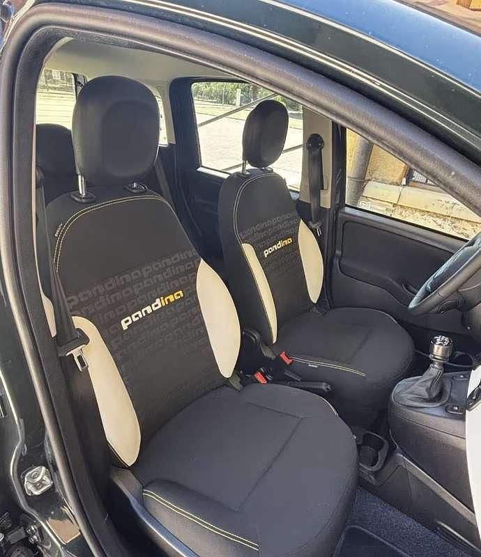 Usata Fiat Panda Icon 69 CV (50 kW) 2025 Verde Utilitaria