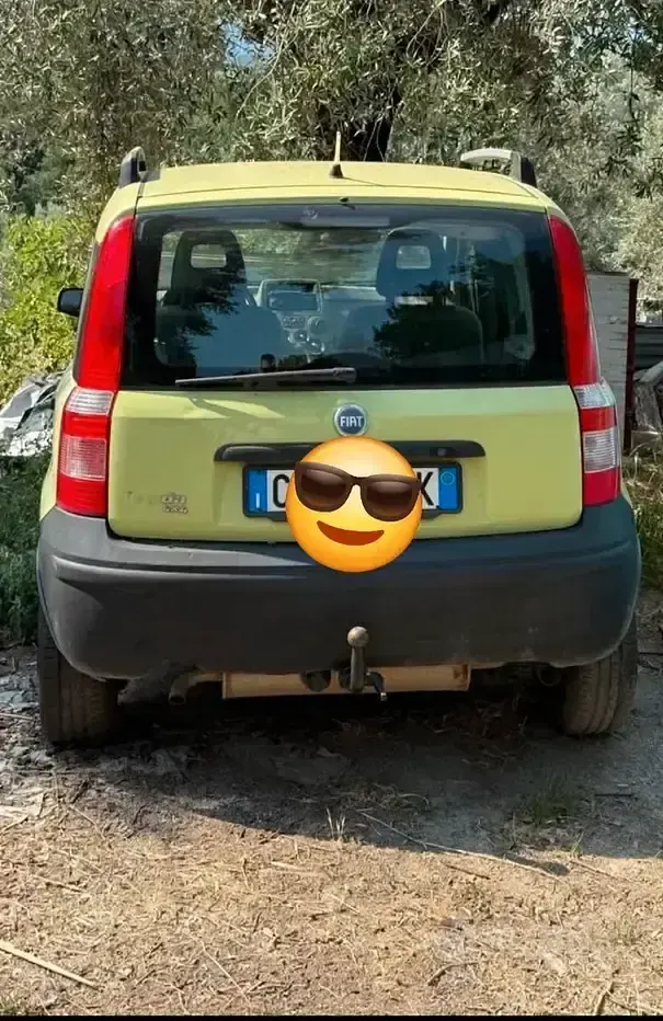 Usata Fiat Panda 4x4 60 CV (44 kW) 2005 Verde Utilitaria