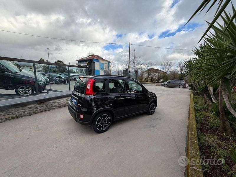 Usata Fiat Panda S 69 CV (50 kW) 2022 Utilitaria