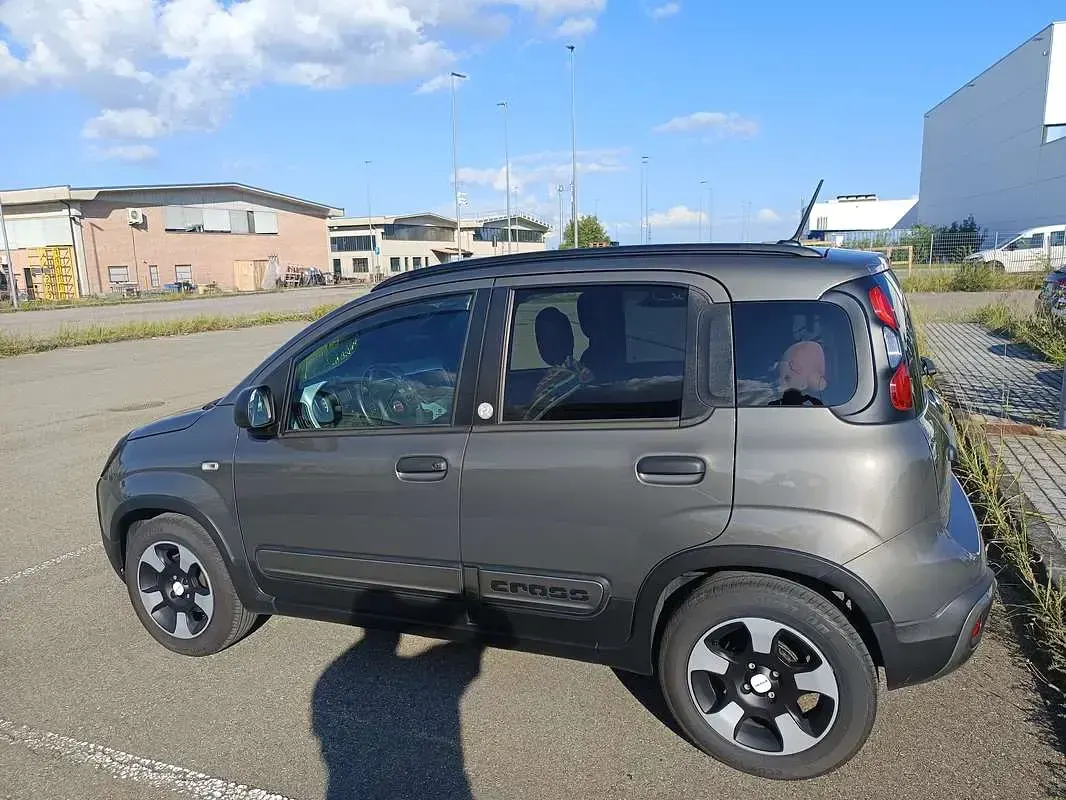 Usata Fiat Panda Cross Cross 69 CV (50 kW) 2020 Utilitaria