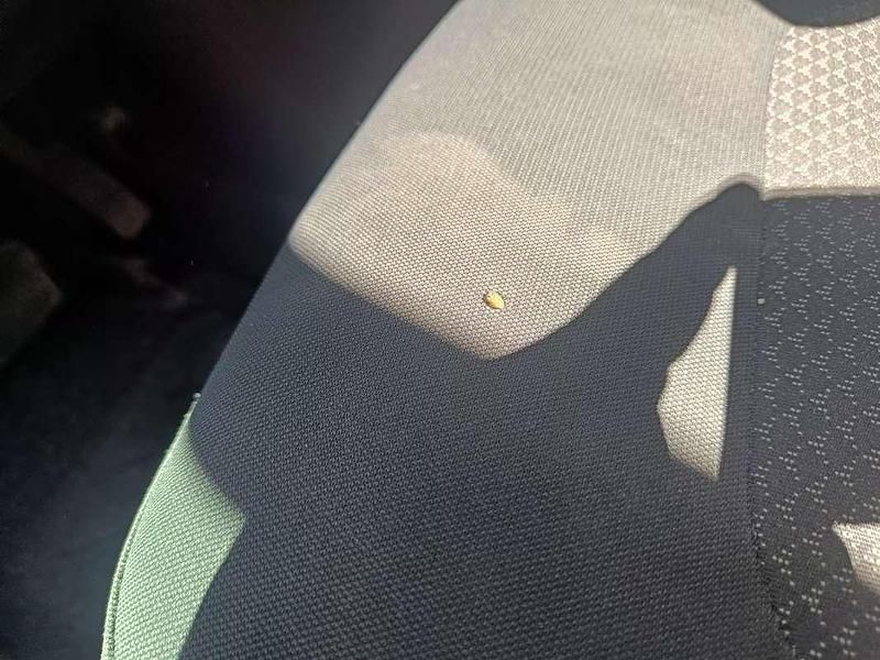 Usata Kia Niro 105 CV (77 kW) 2022 Marrone SUV