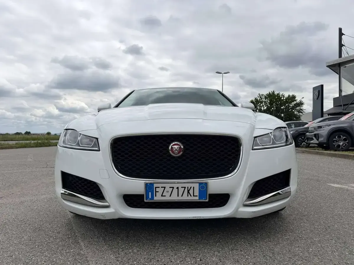 Usata Jaguar XF Pure 250 CV (183 kW) 2019 Bianco Berlina