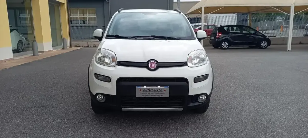 Usata Fiat Panda 4x4 Lounge 95 CV (69 kW) 2016 Bianco Utilitaria