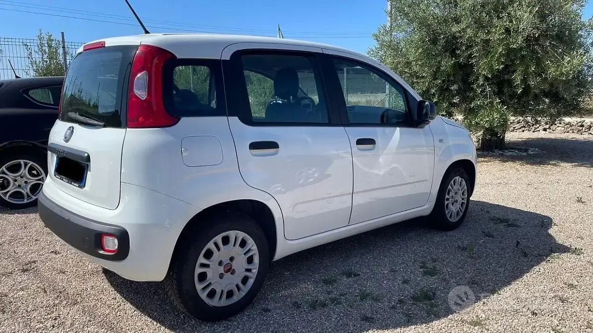 Usata Fiat Panda Lounge 69 CV (50 kW) 2017 Bianco Utilitaria