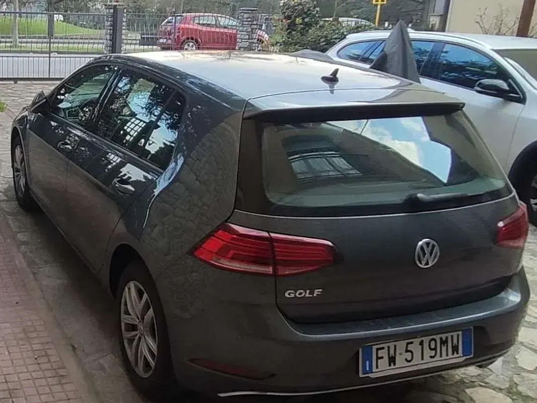 Usata VW Golf VII Trendline 116 CV (85 kW) 2019 Grigio Berlina