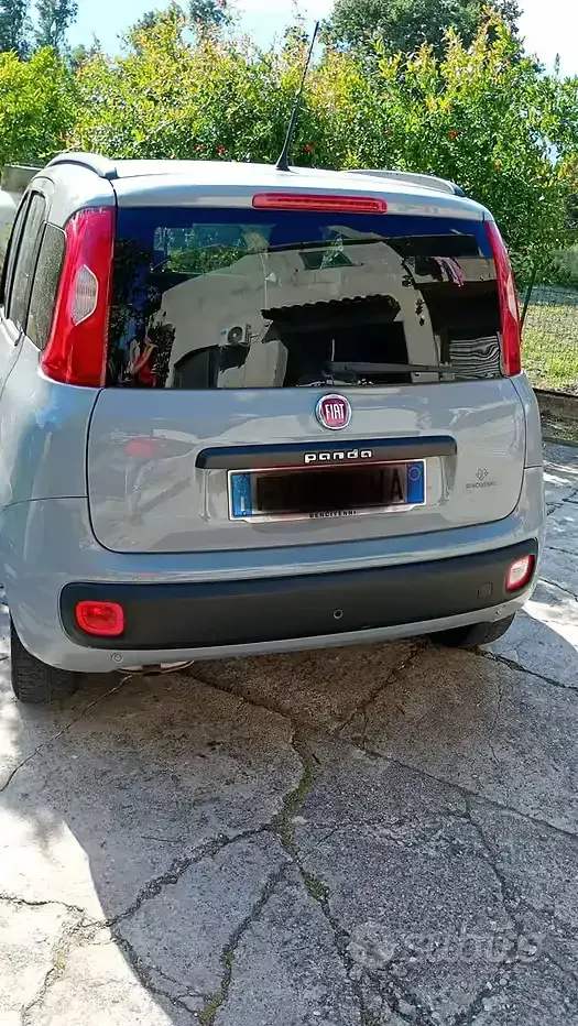 Usata Fiat Panda 60 CV (44 kW) 2019 Grigio Utilitaria